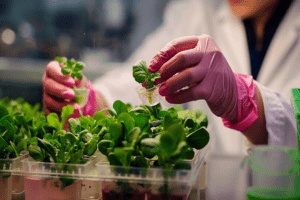 M.Sc. Agriculture