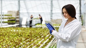 Agriculture